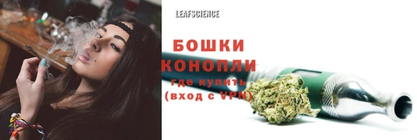 соль курить ск Белокуриха