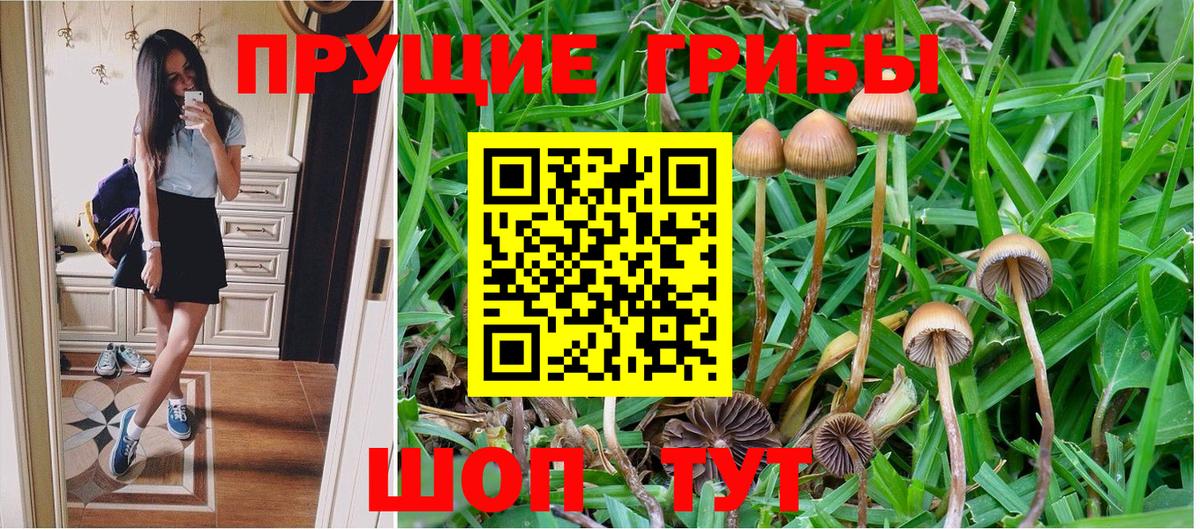 Псилоцибиновые грибы ЛСД  Псилоцибиновые грибы мухоморы  Бор  Вход с VPN 
