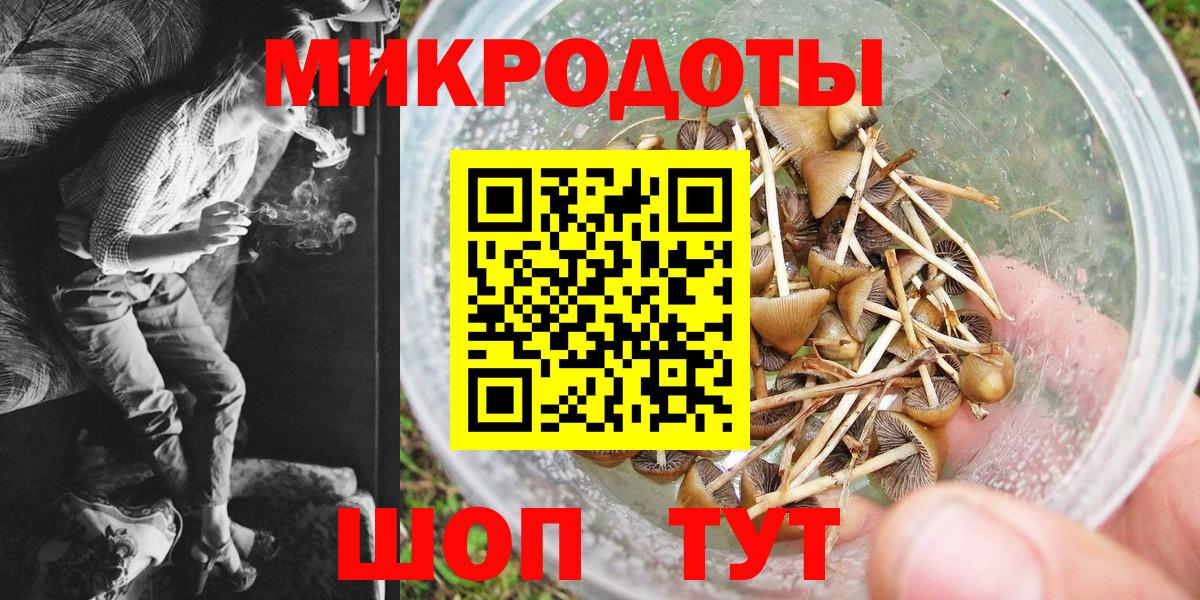 Галлюциногенные грибы GOLDEN TEACHER Бор