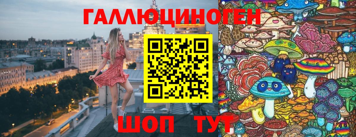 Псилоцибиновые грибы прущие грибы Бор