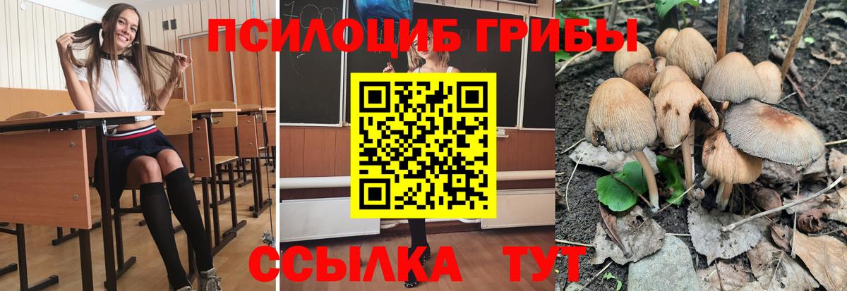 Конопля Бор